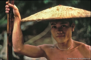 Vignette de l'actualité Le peuple Penan Vignette de l'actualité Le peuple Penan